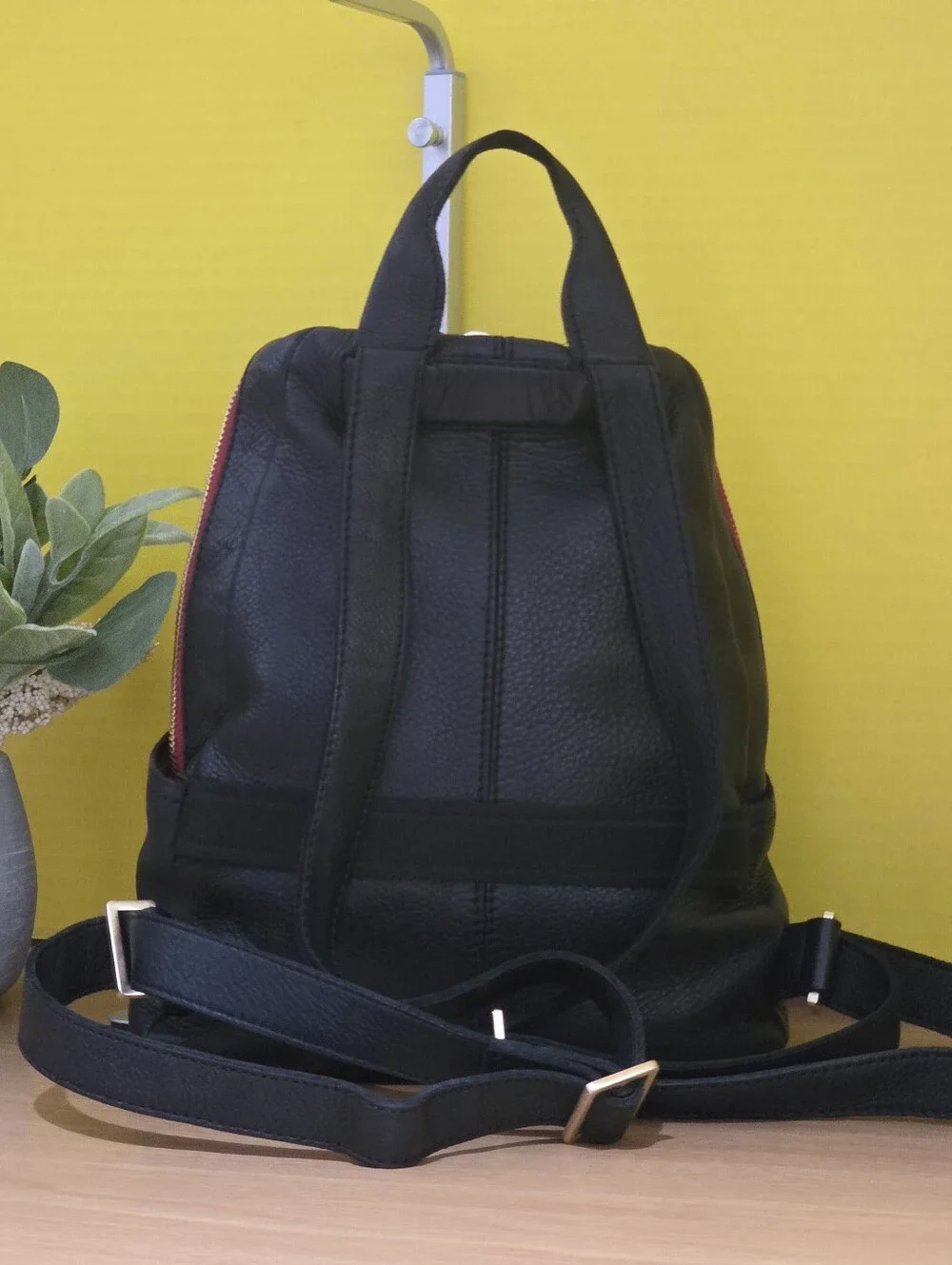 Hammitt Black Leather Medium Backpack with Gold Accents